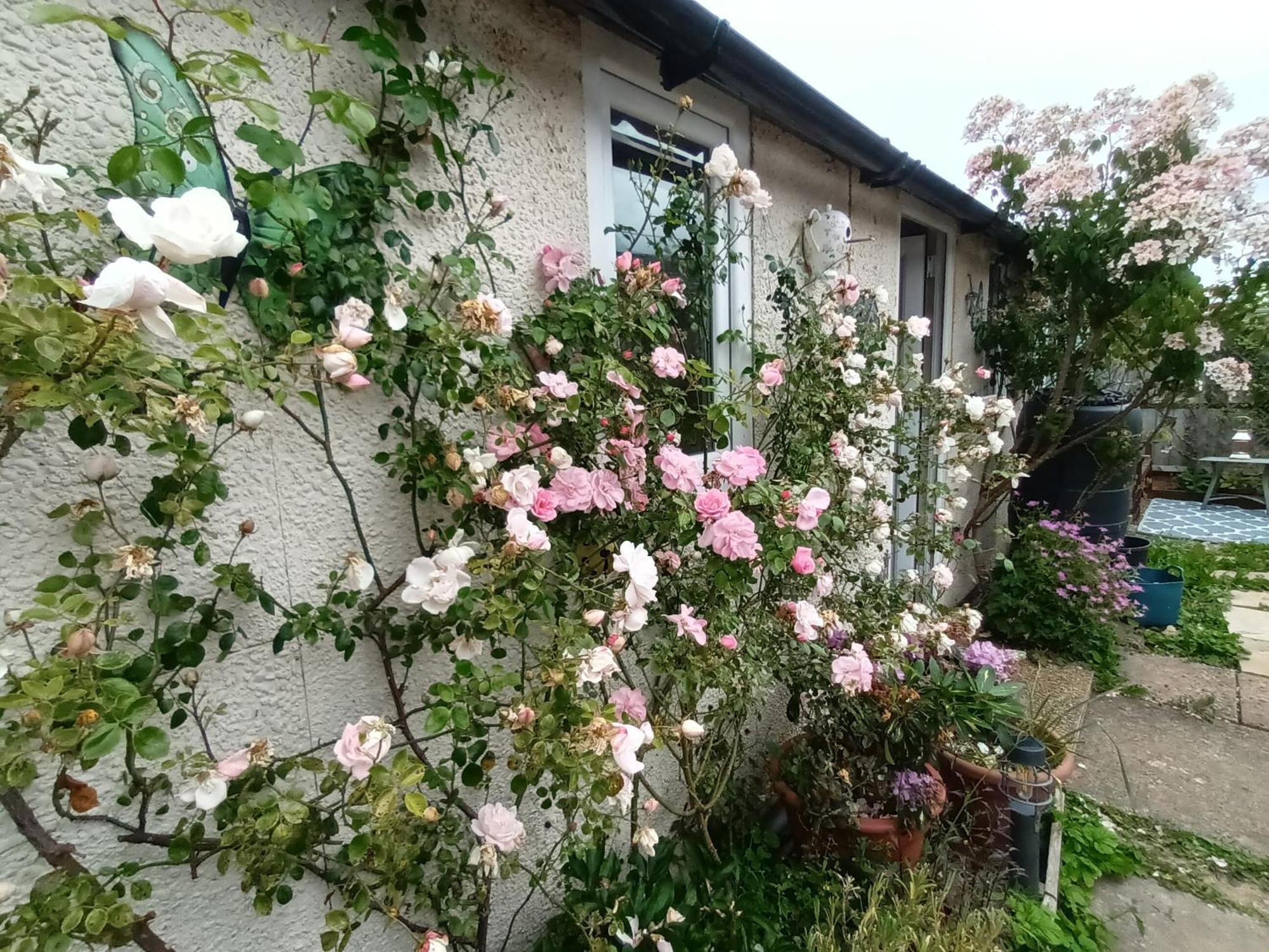 Private Suite In Oxfordshire, A40 Уитни Экстерьер фото